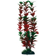 Wave διακοσμητικό φυτό ludwigia 45cm Wave διακοσμητικό φυτό ludwigia 45cm