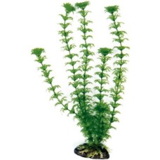 Wave διακοσμητικό φυτό cabomba 18cm