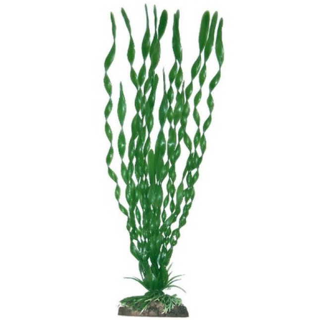 Wave διακοσμητικό φυτό valisneria major 12cm Wave διακοσμητικό φυτό valisneria major 12cm