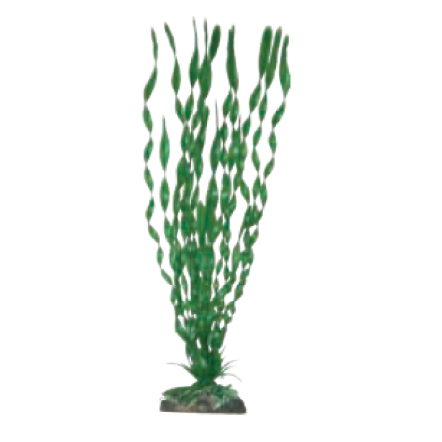 Wave διακοσμητικό φυτό valisneria major 18cm Wave διακοσμητικό φυτό valisneria major 18cm