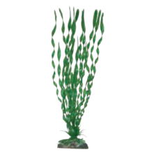 Wave διακοσμητικό φυτό valisneria major 27cm Wave διακοσμητικό φυτό valisneria major 27cm
