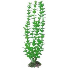 Wave διακοσμητικό φυτό rotala 18cm Wave διακοσμητικό φυτό rotala 18cm