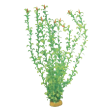 Wave διακοσμητικό φυτό hygrophila red flowers 27cm Wave διακοσμητικό φυτό hygrophila red flowers 27cm