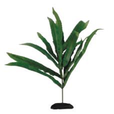 Wave διακοσμητικό φυτό cryptocoryne 17cm
