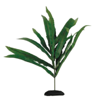Wave διακοσμητικό φυτό cryptocoryne 17cm