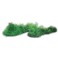 Wave διακοσμητικό φυτό green grass mixed 26x6cm
