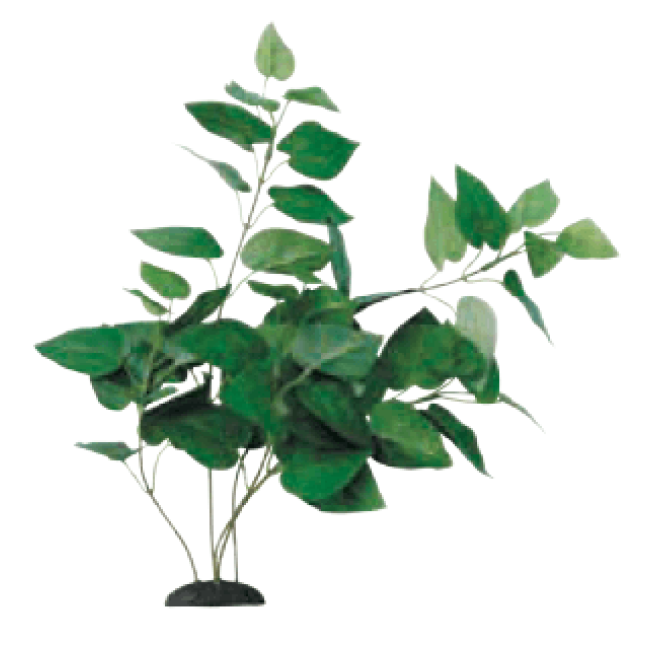 Wave διακοσμητικό φυτό anubias 17cm Wave διακοσμητικό φυτό anubias 17cm