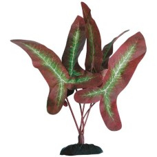 Wave διακοσμητικό φυτό syngonium red 23cm