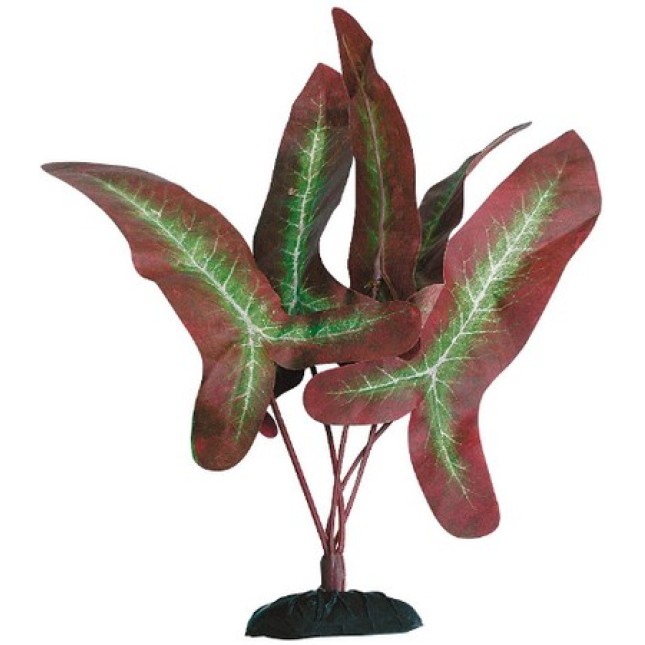 Wave διακοσμητικό φυτό syngonium red 23cm Wave διακοσμητικό φυτό syngonium red 23cm