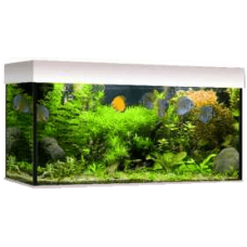 Croci wave ενυδρείο classic 100 T5 λευκό Croci wave ενυδρείο classic 100 T5 λευκό