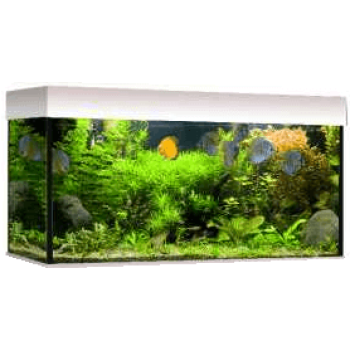 Croci wave ενυδρείο classic 100 T5 λευκό Croci wave ενυδρείο classic 100 T5 λευκό