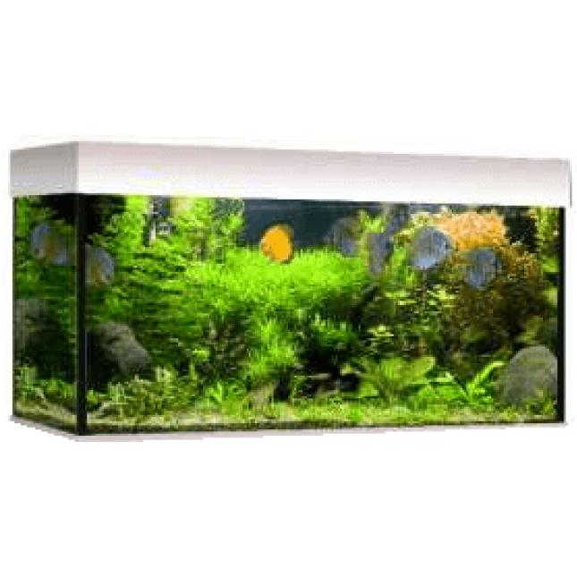 Croci wave ενυδρείο classic 100 T5 λευκό Croci wave ενυδρείο classic 100 T5 λευκό