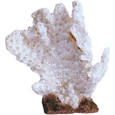 Croci wave διακοσμητικό κοράλλι 16X17,5X10cm Croci wave διακοσμητικό κοράλλι 16X17,5X10cm