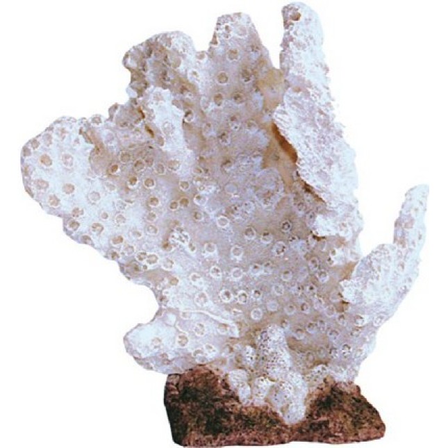 Croci wave διακοσμητικό κοράλλι 16X17,5X10cm