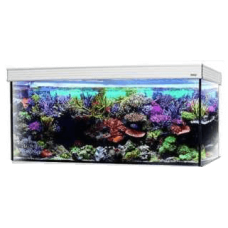 Croci wave ενυδρείο design 100 glossy led λευκό Croci wave ενυδρείο design 100 glossy led λευκό