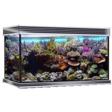 Croci wave ενυδρείο design 100 glossy led μαύρο Croci wave ενυδρείο design 100 glossy led μαύρο
