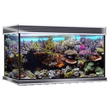 Croci wave ενυδρείο design 100 glossy led μαύρο Croci wave ενυδρείο design 100 glossy led μαύρο