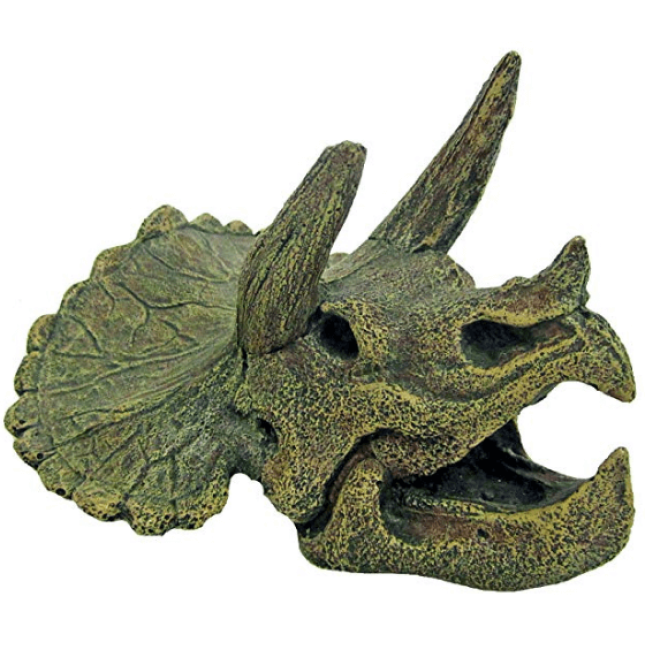 Wave κρανίο triceratops Wave κρανίο triceratops