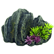 Wave japan βράχος με φυτά