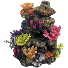 Wave βράχος με κοράλλια l