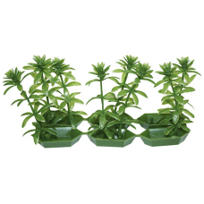 Wave πλαστικό φυτό anubias 6τμχ Wave πλαστικό φυτό anubias 6τμχ