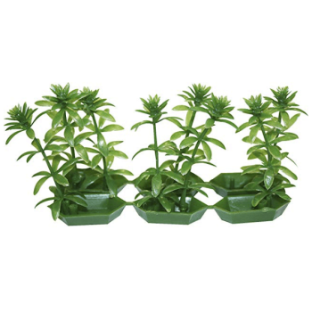 Wave πλαστικό φυτό anubias 6τμχ