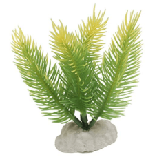Wave πλαστικό φυτό fern bottom