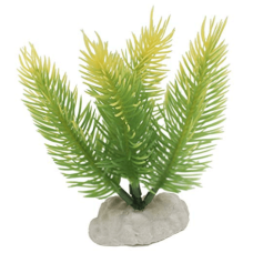 Wave πλαστικό φυτό fern bottom Wave πλαστικό φυτό fern bottom