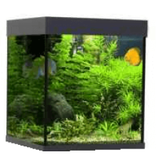 Croci wave ενυδρείο classic cube 55 T5 μαύρο Croci wave ενυδρείο classic cube 55 T5 μαύρο
