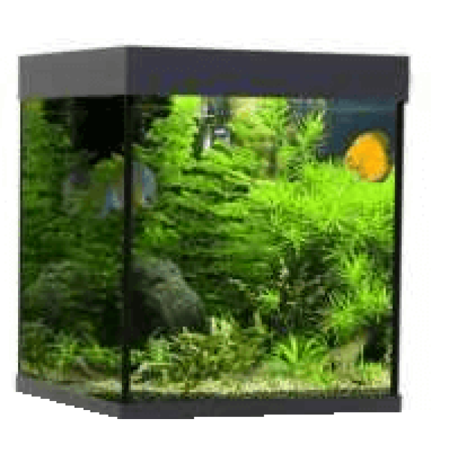 Croci wave ενυδρείο classic cube 55 T5 μαύρο Croci wave ενυδρείο classic cube 55 T5 μαύρο