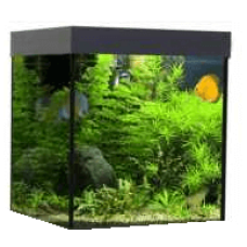 Croci wave ενυδρείο design cube 55 μαύρο Croci wave ενυδρείο design cube 55 μαύρο