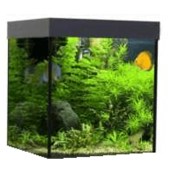 Croci wave ενυδρείο design cube 55 μαύρο Croci wave ενυδρείο design cube 55 μαύρο