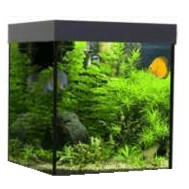 Croci wave ενυδρείο design cube 55 μαύρο Croci wave ενυδρείο design cube 55 μαύρο