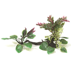 Wave σειρά wonder driftwood 25-30cm Wave σειρά wonder driftwood 25-30cm
