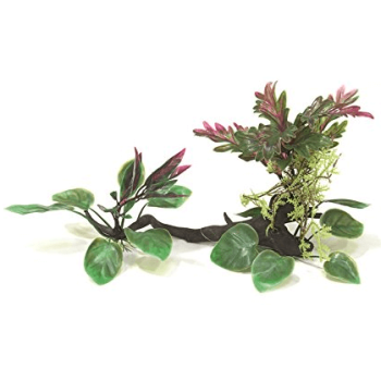 Wave σειρά wonder driftwood 25-30cm Wave σειρά wonder driftwood 25-30cm