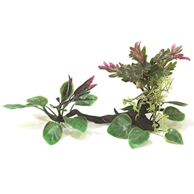 Wave σειρά wonder driftwood 25-30cm Wave σειρά wonder driftwood 25-30cm