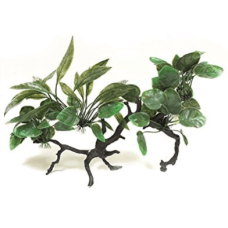 Wave σειρά wonder mangrovia 45cm Wave σειρά wonder mangrovia 45cm