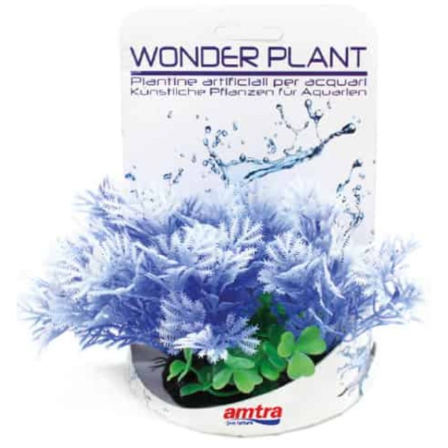Amtra Wave σειρά φυτών wonder f 13cm 1τμχ