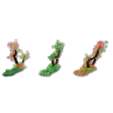 Wave φυτό glossostigma su rami 35x30cm Wave φυτό glossostigma su rami 35x30cm