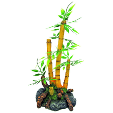 Wave φυτό japan bamboo Wave φυτό japan bamboo
