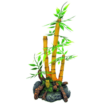 Wave φυτό japan bamboo