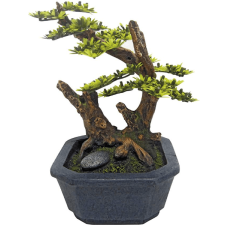 Wave ιαπωνικό bonsai με βάση