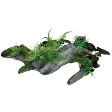 Wave κορμός rainforest wood με φυτά Wave κορμός rainforest wood με φυτά