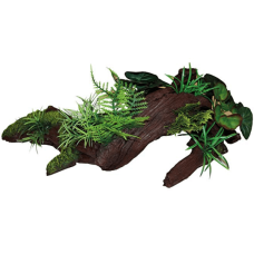 Wave κορμός rainforest wood με φυτά Wave κορμός rainforest wood με φυτά
