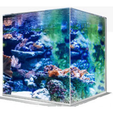 Croci wave ενυδρείο zen artist tank cm.25x25 Croci wave ενυδρείο zen artist tank cm.25x25