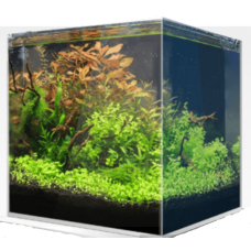 Croci wave ενυδρείο zen artist tank cm.30x30 Croci wave ενυδρείο zen artist tank cm.30x30