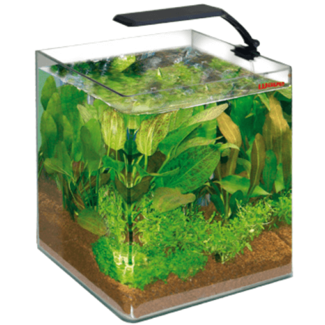 Croci wave ενυδρείο zen artist tank Croci wave ενυδρείο zen artist tank