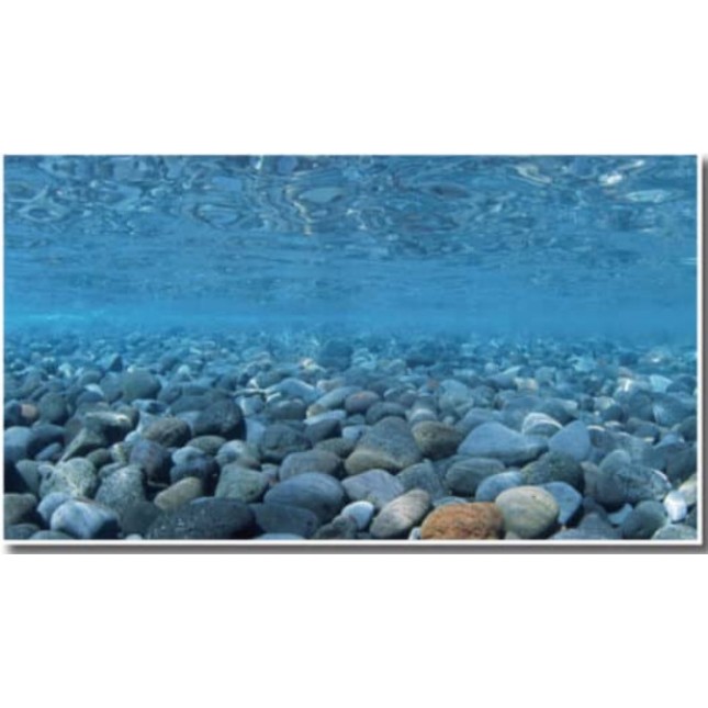 Amtra Wave διπλό background vision blister 45x100cm