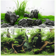Wave διπλό background amazonia blister 30x60cm Wave διπλό background amazonia blister 30x60cm