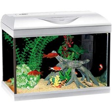 Croci amtra ενυδρείο riviera 40 led coldwater λευκό 20lt Croci amtra ενυδρείο riviera 40 led coldwater λευκό 20lt